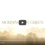 Mornington Green 30 Seconds